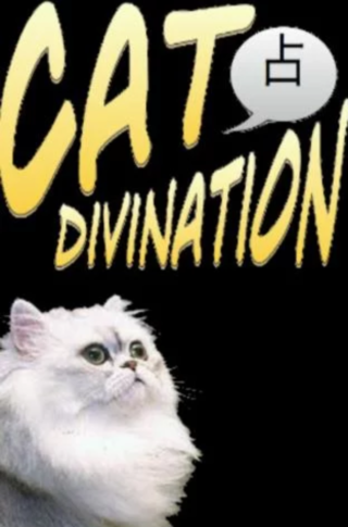Cat divination