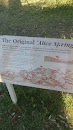 The Original Alice Springs