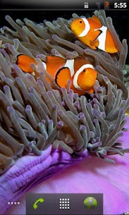 How to download Tropical Fish Live Wallpaper 3.6.0.0 apk for laptop