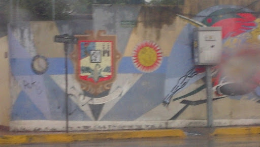 Mural Urbano Escudo De Armas 