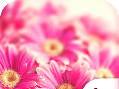 壁紙 おしゃれ オシャレ エッフェル 塔 257770