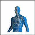 200 Biomechanics Terms & Quiz