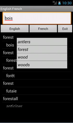 English French Dictionary