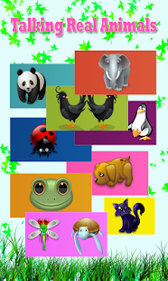 Talk Real Animals Screenshots 0