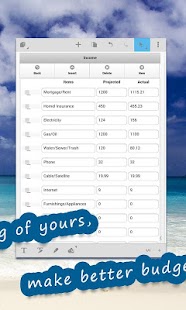 ResPack 13- Family Budget Screenshots 2