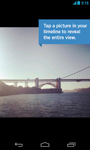 Twitter - screenshot thumbnail