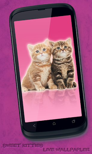 Sweet Kitties Live Wallpaper