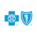 Blue Finder logo