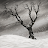 Scarica Albero Solitario (Inverno) APK per Windows