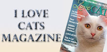 I Love Cats Magazine APK