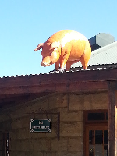 Pig on the Roof at Doherty Centre