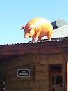 Pig on the Roof at Doherty Centre