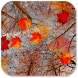 Autumn Maple Live Wallpaper ★ icon