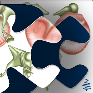 Middle Ear Drag & Drop