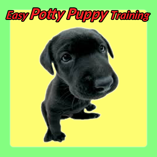 Easy Potty Puppy Training