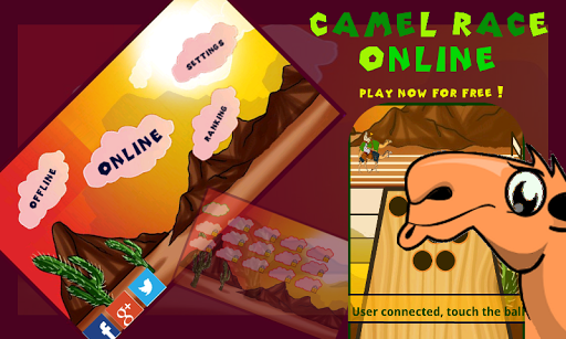 Camel Race Online