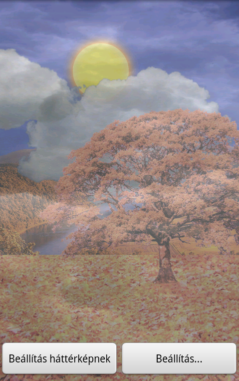 Animated Weather LWP Screen 2
