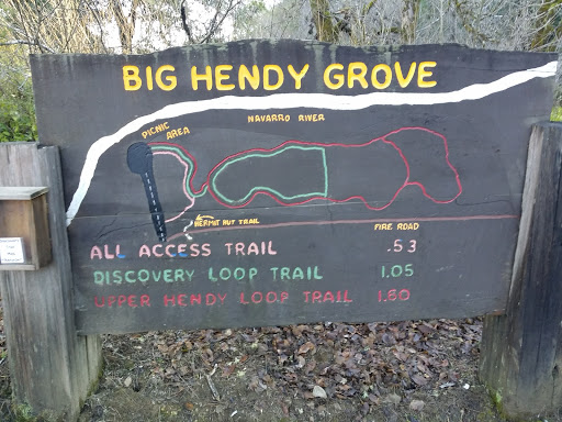 Big Hendy Grove