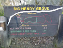 Big Hendy Grove