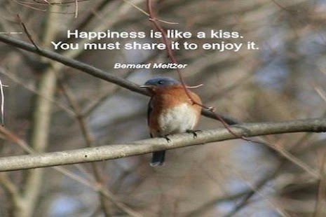 Happy Quotes! Screenshots 2