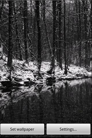 Fondo Animado Bosque