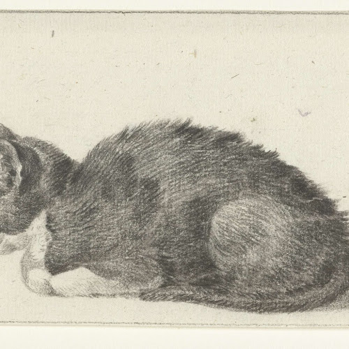 Liggende kat, naar links, Jean Bernard, 1775 1833 Rijksmuseum