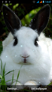 How to mod Bunny Live Wallpaper patch 1.3 apk for bluestacks