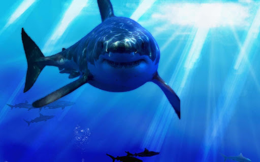 【免費個人化App】Shark Rampage 3D-APP點子