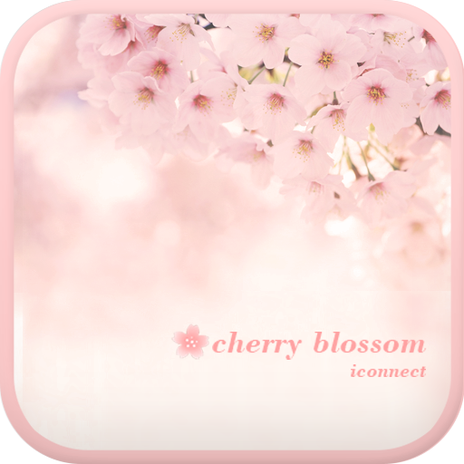 Cherry blossom go locker theme 個人化 App LOGO-APP開箱王