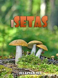 iSetas Screenshots 5