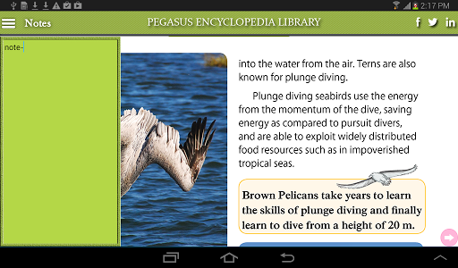 【免費書籍App】Sea World-Seabirds-APP點子