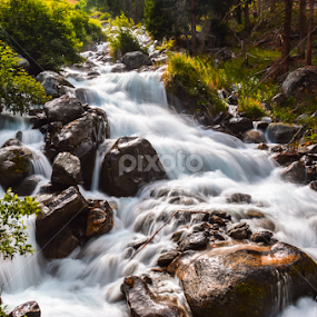 old river by Mihai Popa - Landscapes Waterscapes
