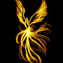 3D Cool  Phoenix 001