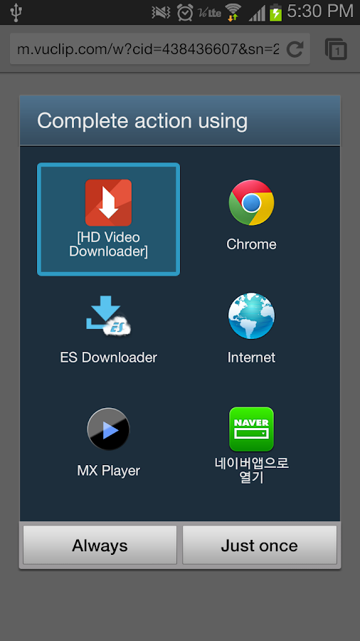 HD Video Downloader - screenshot
