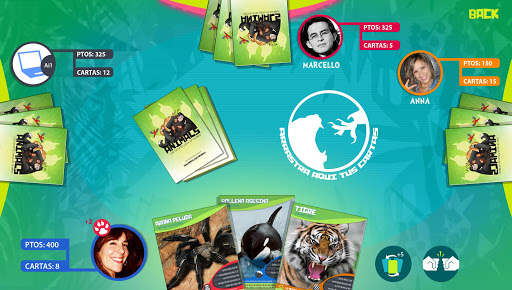 Animal Cards