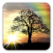Sun Rise Live Wallpaper icon