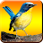 Windows için Kicau Burung Mp3 APK indirin