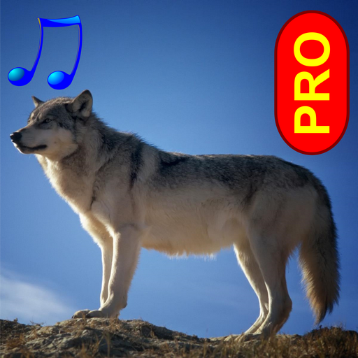 Animal sounds and photos PRO LOGO-APP點子