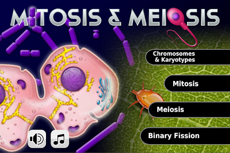  Biology Mitosis & Meiosis L: miniatura de captura de pantalla  