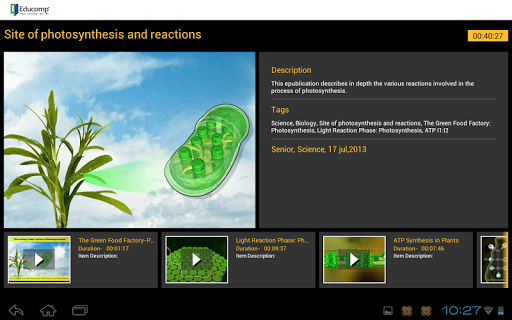 Photosynthesis reactions