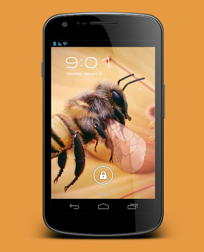免費下載個人化APP|Apis Bee 4D Live Wallpaper app開箱文|APP開箱王