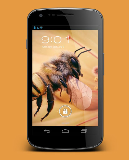 【免費個人化App】Apis Bee 4D Live Wallpaper-APP點子