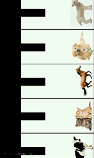 ANIMALS PIANO