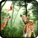 Rain Forest Live Wallpaper mobile app icon