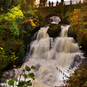 Waterfall at Rouken Glen park by Wendy Milne - City,  Street & Park City Parks