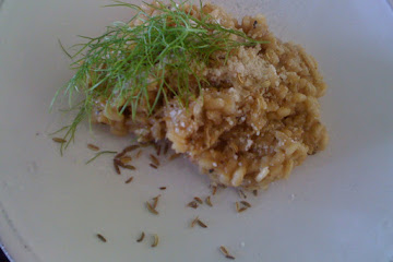 Fennel Risotto
