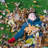 Enjoying the Fall by Andy Taber -  