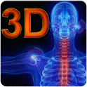 Anatomy 3D