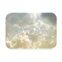 القرآن الكريم - صالح الصاهود APK ícone