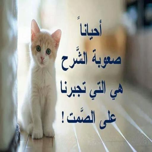 HNbQZ0gxElTOV9oDbc7zBpUYTCI1W7MmOJWZWZxABoglQJj-UKZeWw8xg5cghw-l-nqY=h900